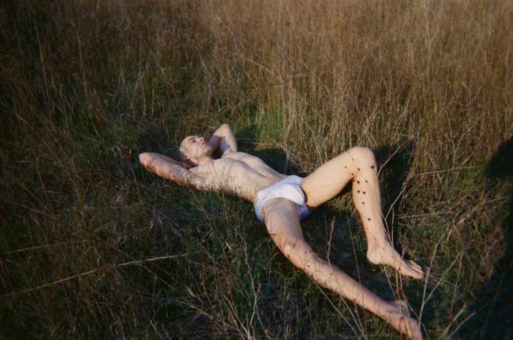 Nature Boy 4