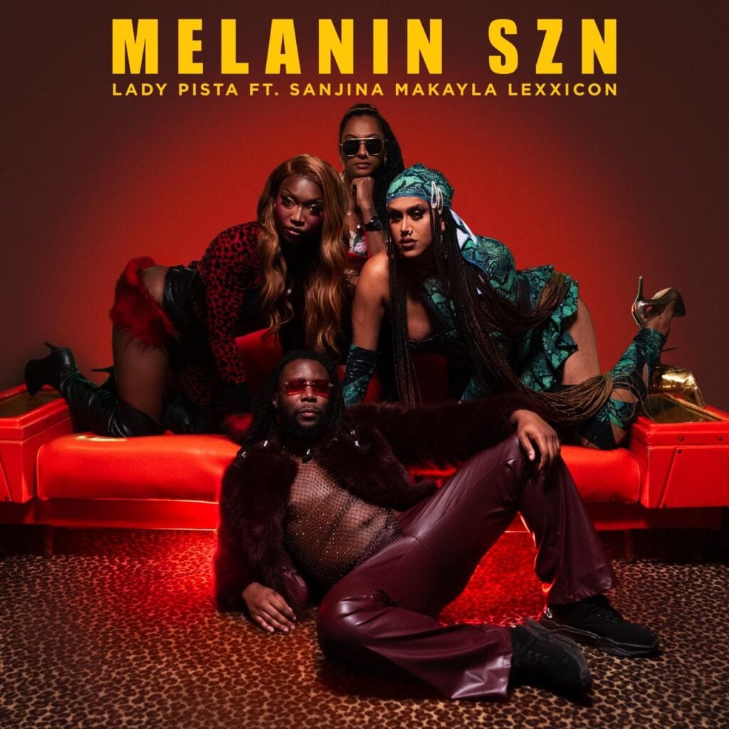 Melanin Szn Cover Art